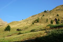 Am Steig zum Schwarzsee in Innervillgraten