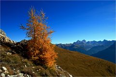 Am Steig zur Rotwandhütte