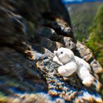 Am steilen Berg - kleiner Eisbär, was nun?