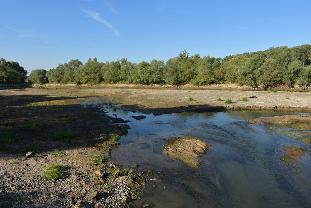 Am Steindamm: Nach dem Hochwasser ist vor dem Hochwasser 01