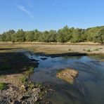 Am Steindamm: Nach dem Hochwasser ist vor dem Hochwasser 01