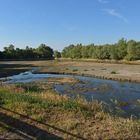 Am Steindamm: Nach dem Hochwasser ist vor dem Hochwasser 03