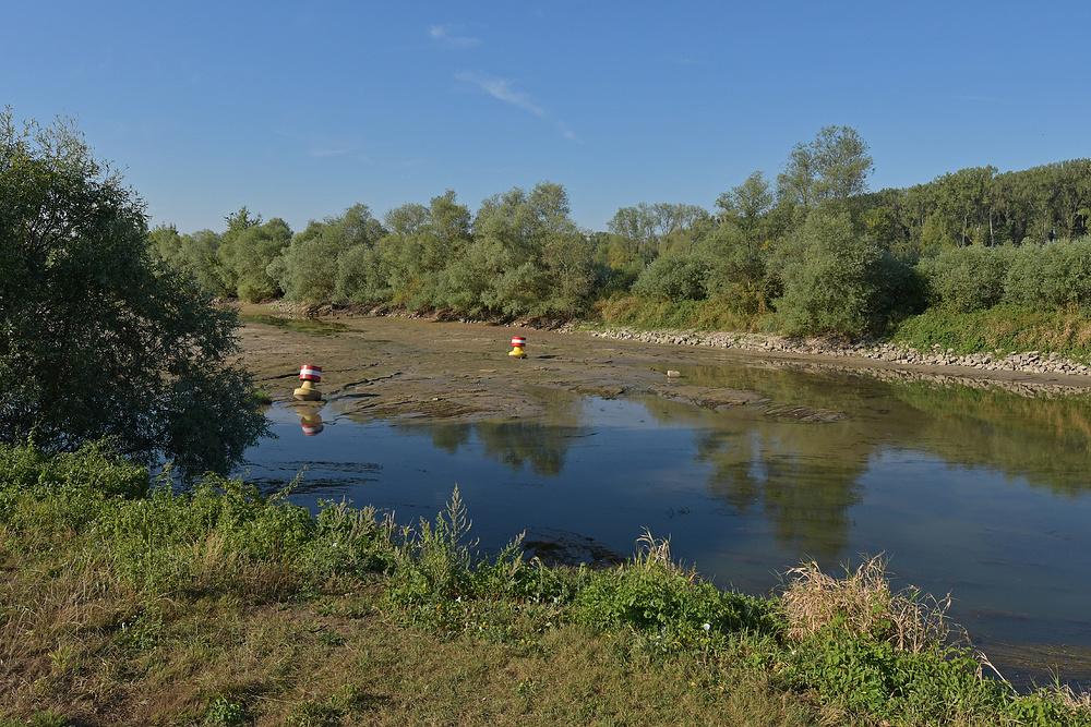 Am Steindamm: Nach dem Hochwasser ist vor dem Hochwasser 05