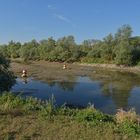 Am Steindamm: Nach dem Hochwasser ist vor dem Hochwasser 05