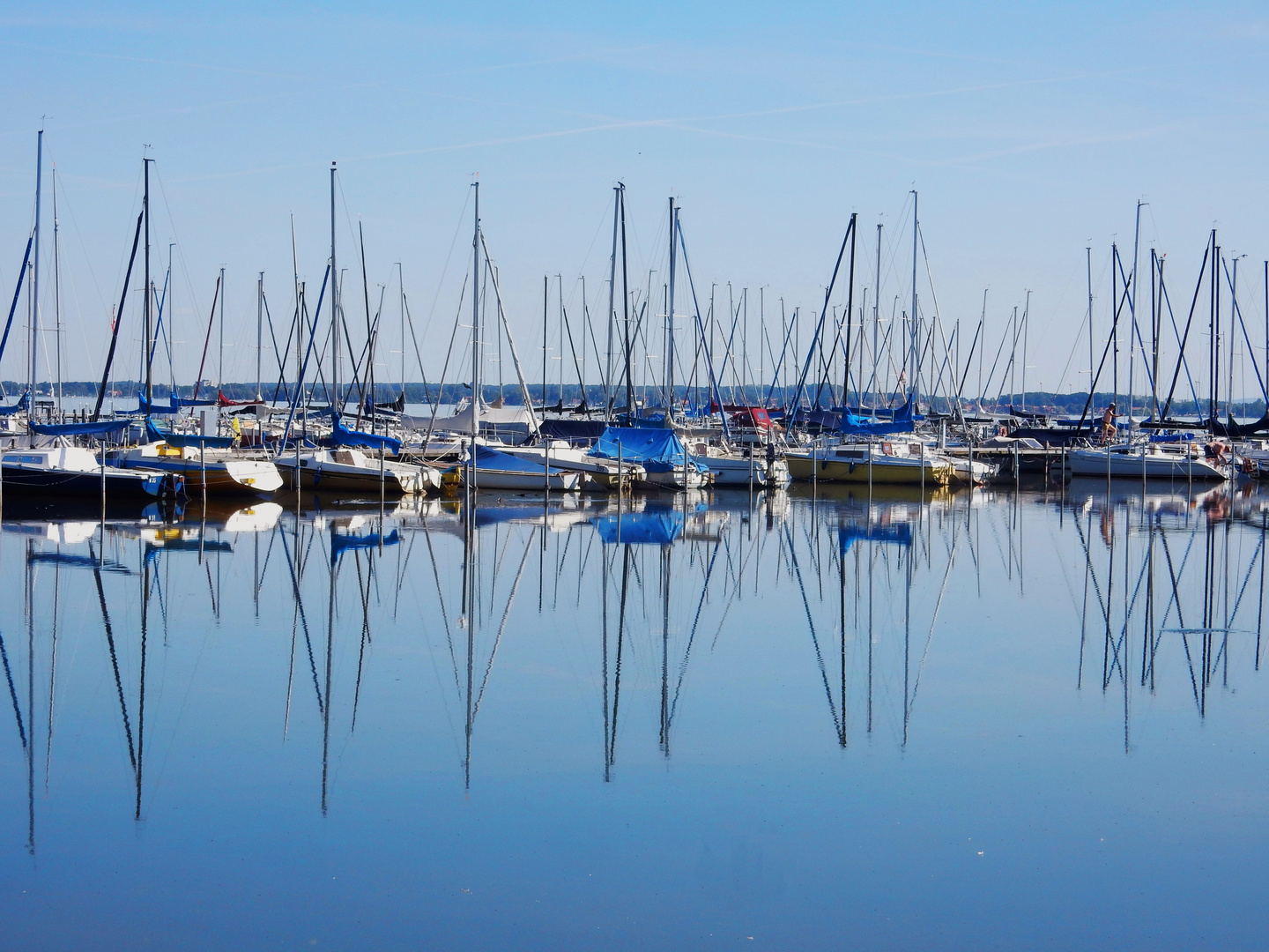 Am Steinhuder Meer 