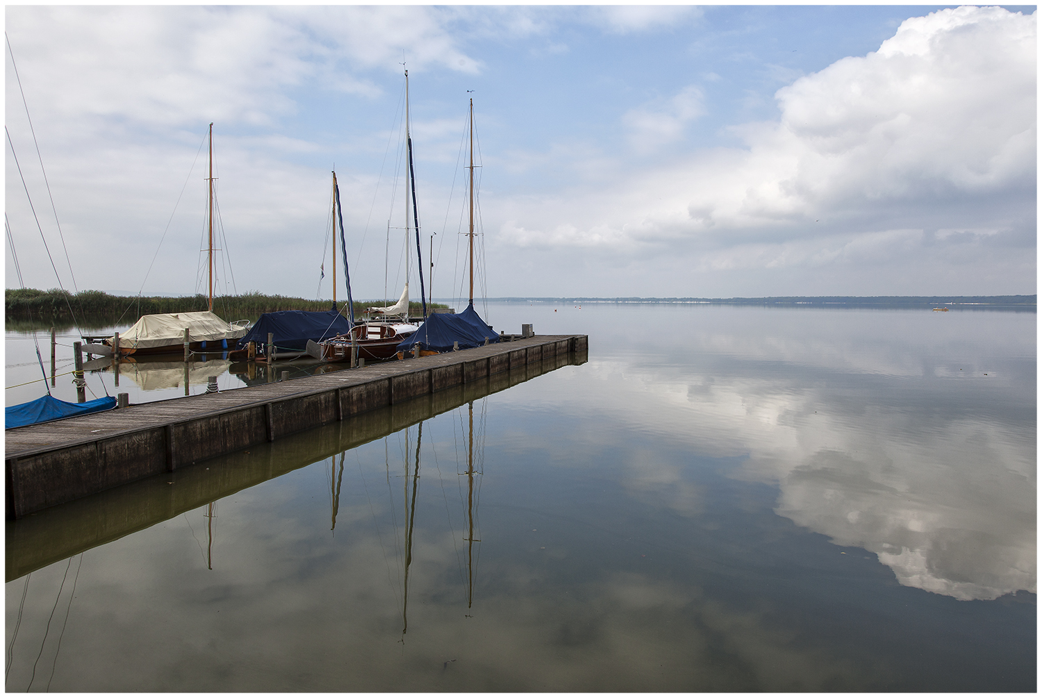 Am Steinhuder Meer