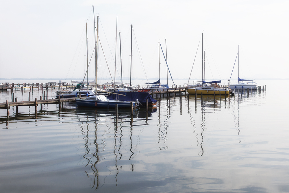 Am Steinhuder Meer