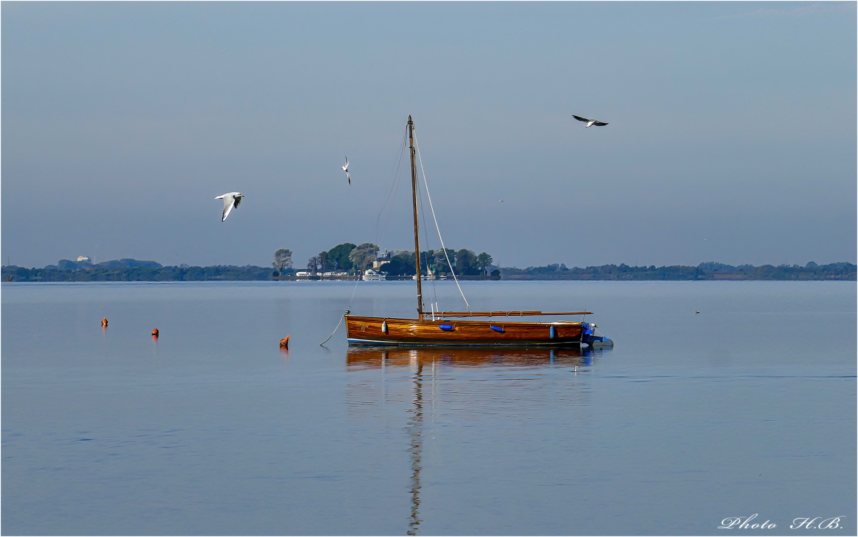 Am Steinhuder Meer