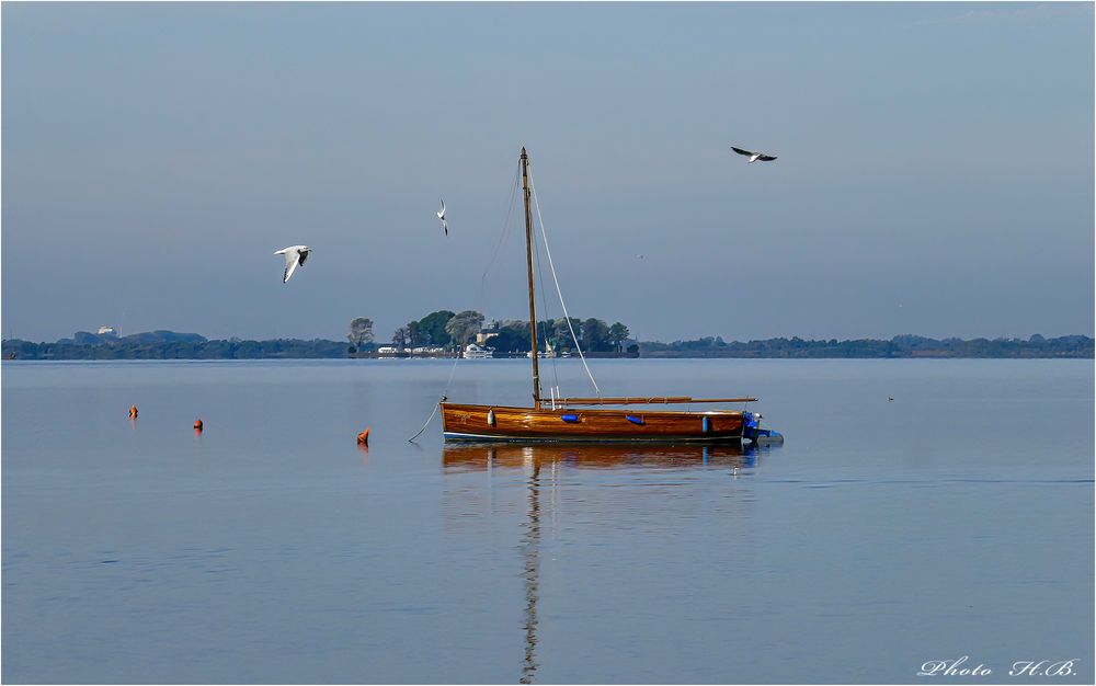 Am Steinhuder Meer