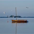 Am Steinhuder Meer