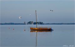 Am Steinhuder Meer