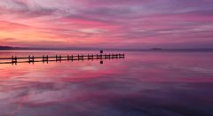 Am Steinhuder Meer