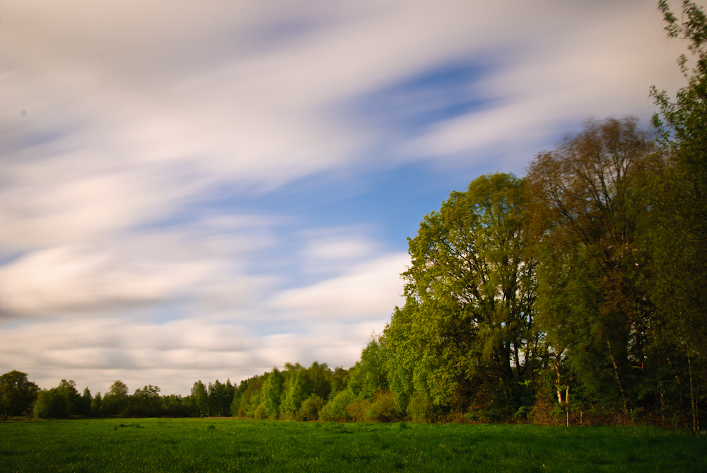 am steinhuder meer