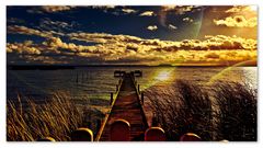Am Steinhuder Meer