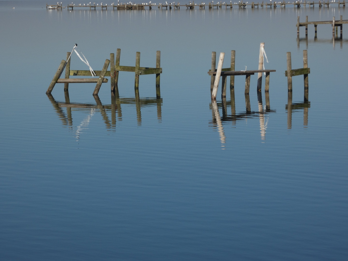 Am Steinhuder Meer