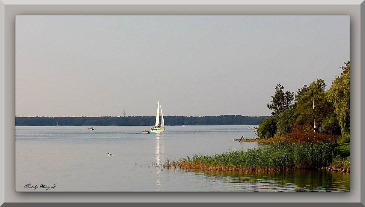 Am Steinhuder Meer