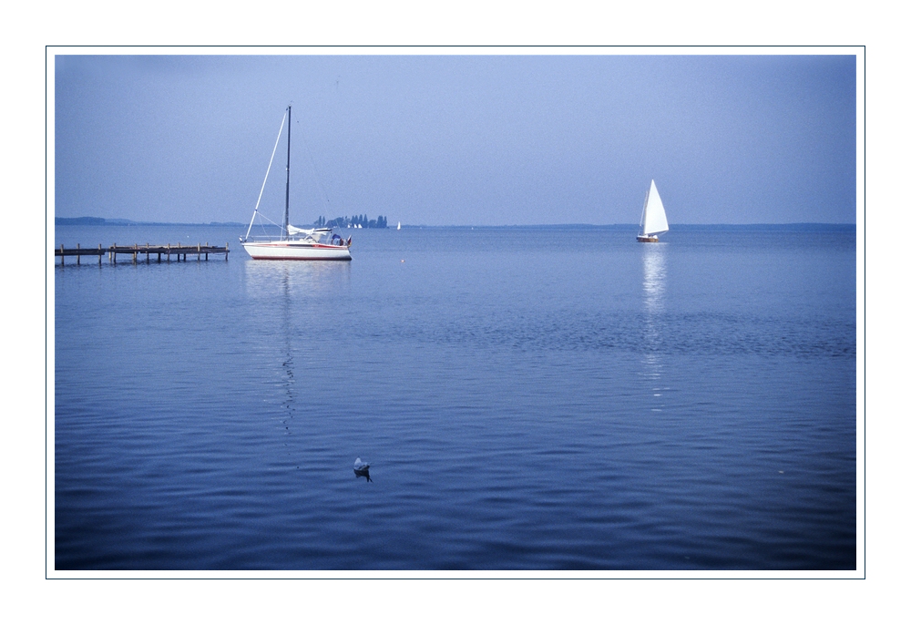 Am Steinhuder Meer