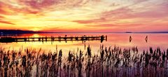 Am Steinhuder Meer