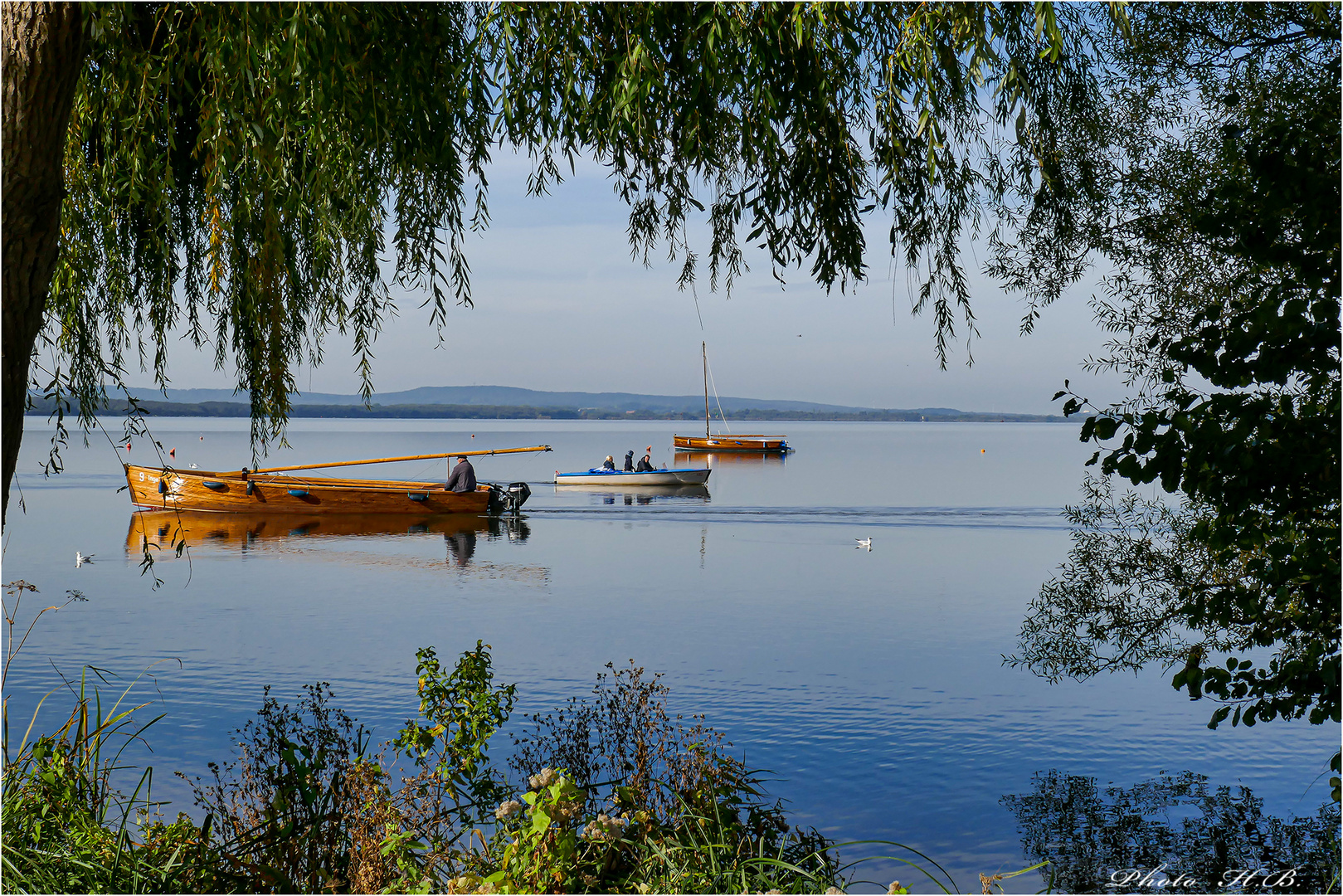 Am Steinhuder Meer