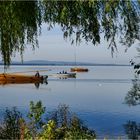 Am Steinhuder Meer