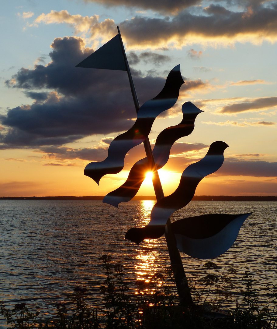 am Steinhuder Meer