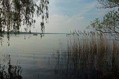 Am Steinhuder Meer