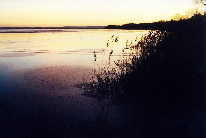 Am Steinhuder Meer