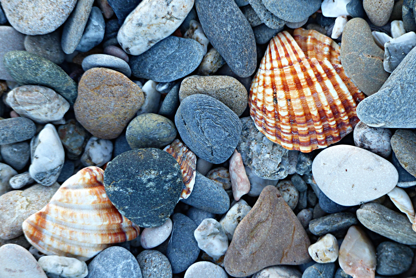 Am Steinstrand