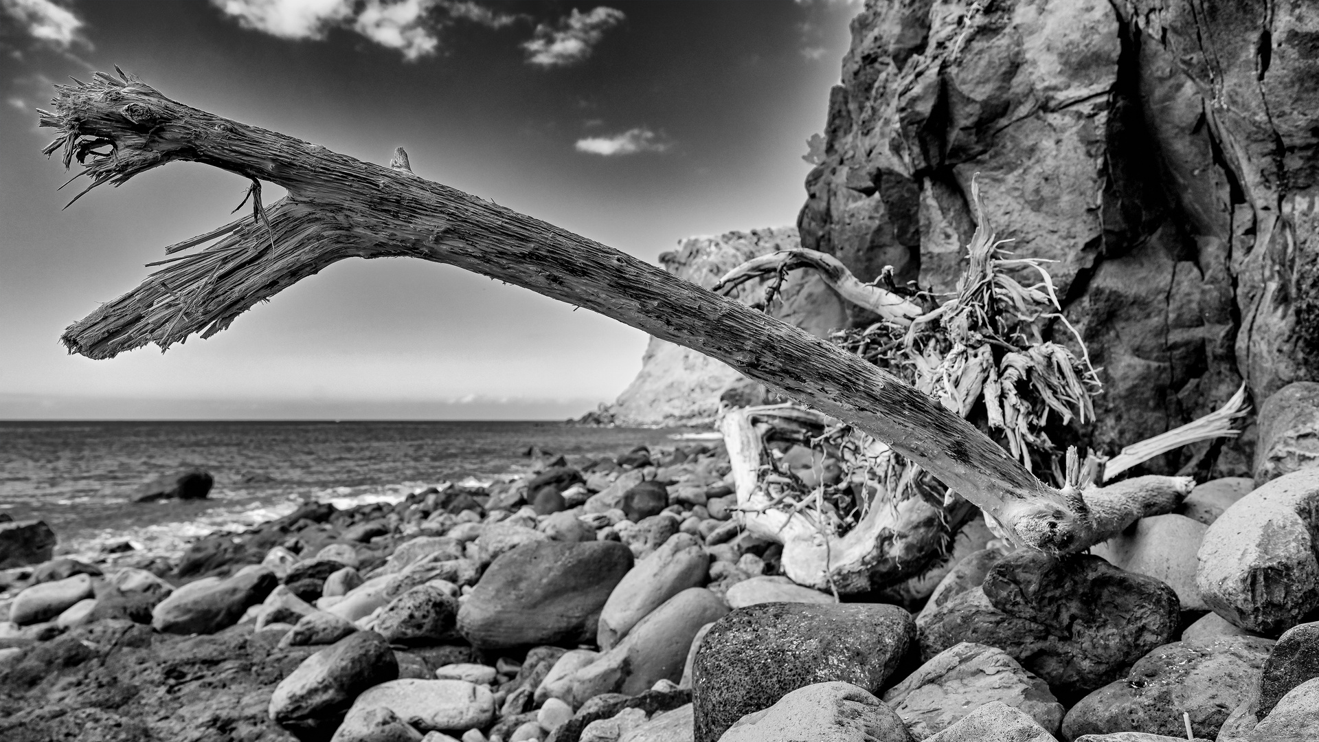 Am Steinstrand von Calheta 04