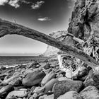 Am Steinstrand von Calheta 04