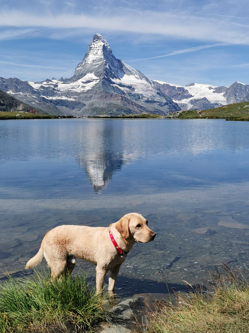 am Stellisee 