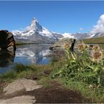 am Stellisee mit Matterhorn (1)