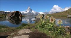 am Stellisee mit Matterhorn (1)