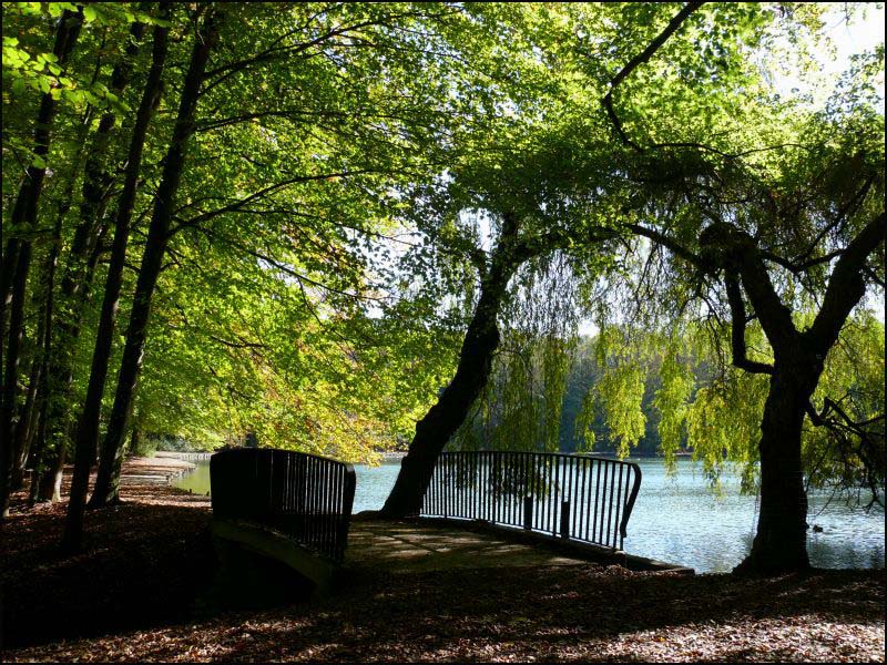 am Stempflesee