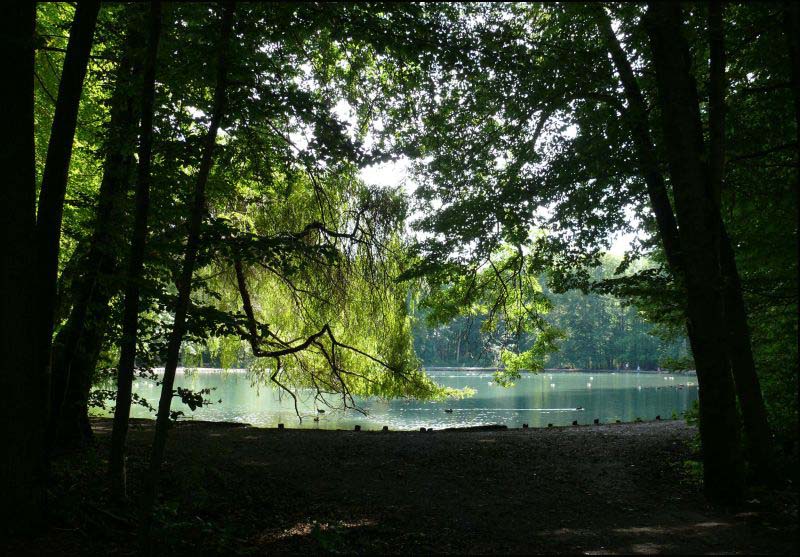 am Stempflesee