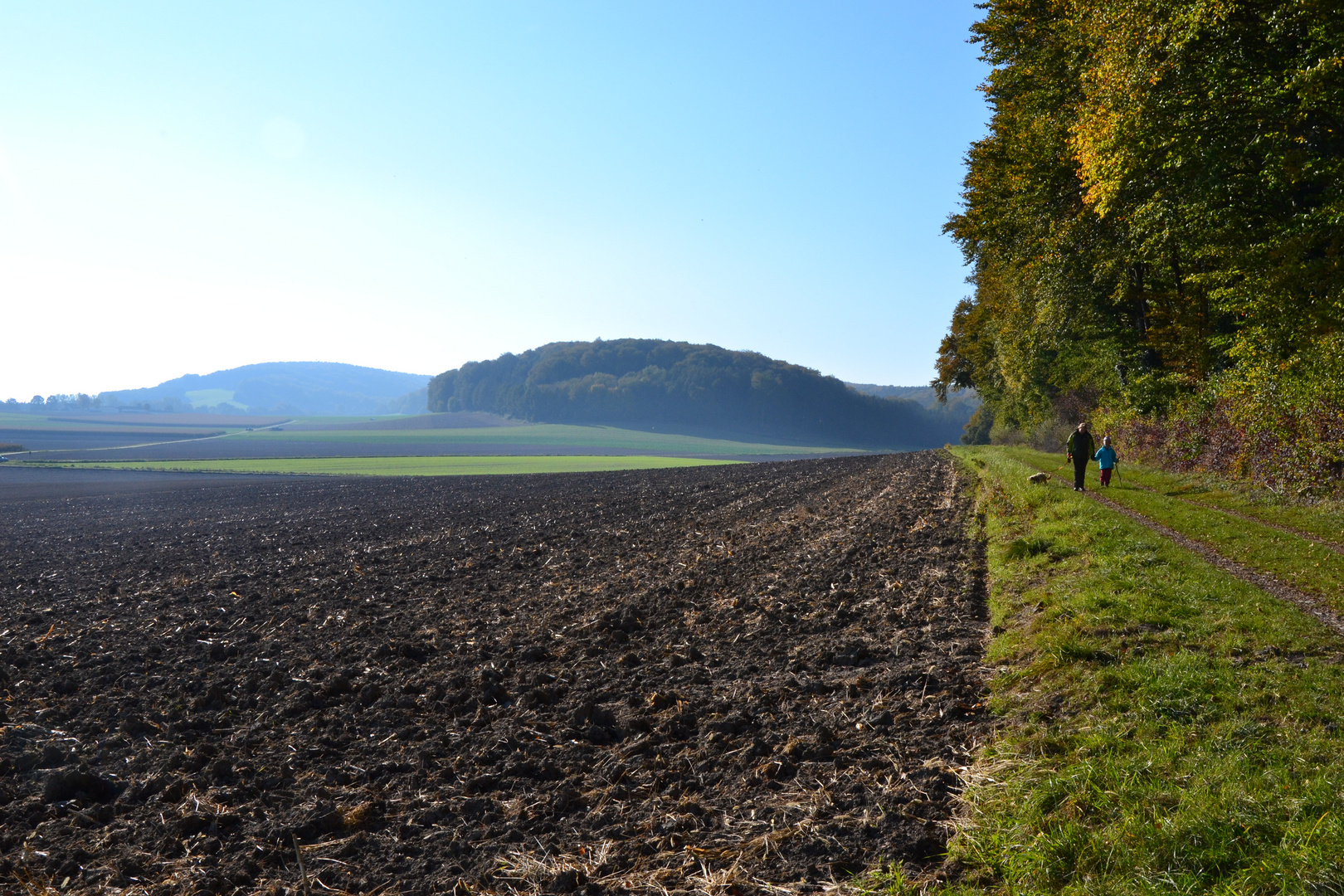 Am Stemweder Berg