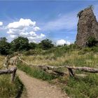 Am Stenzelberg