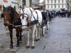 AM STEPHANSPLATZ #2