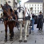 AM STEPHANSPLATZ