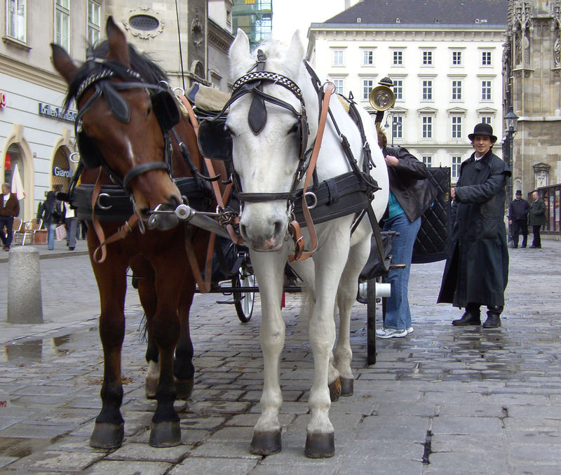 AM STEPHANSPLATZ