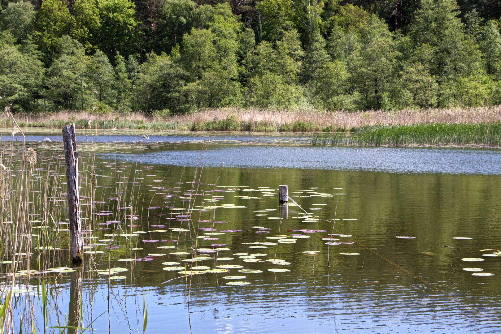 Am Sternberger See