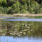 Am Sternberger See