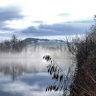 Am Sternenweiher