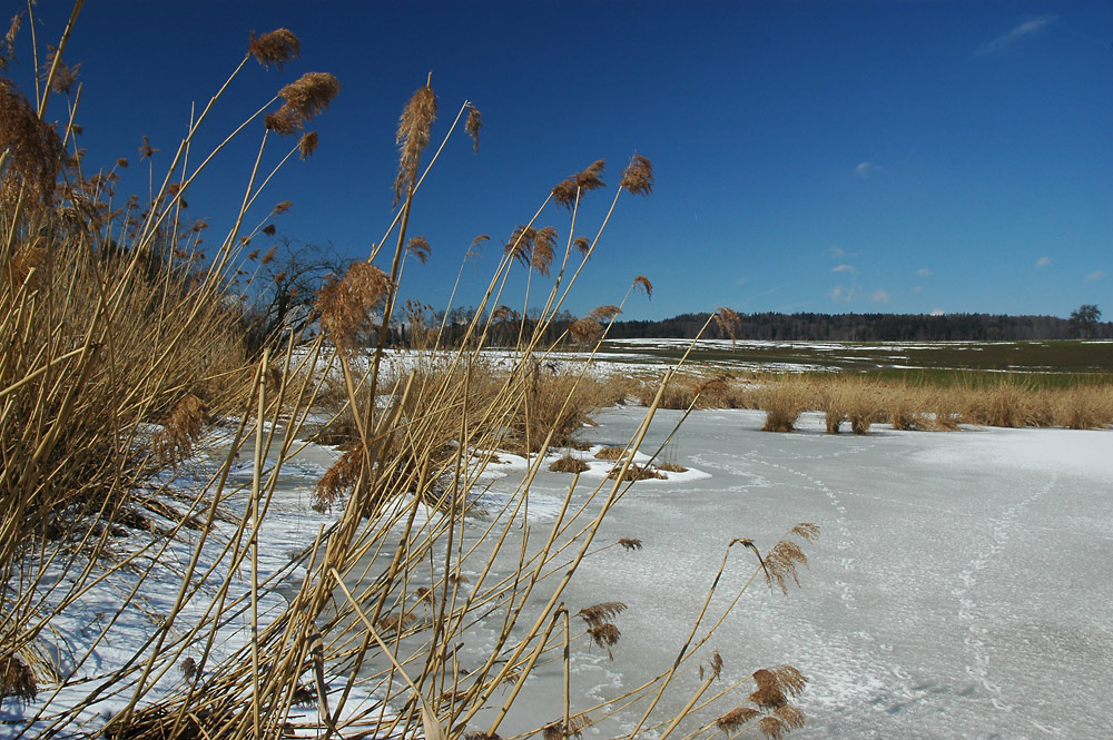 Am Stigelenweiher