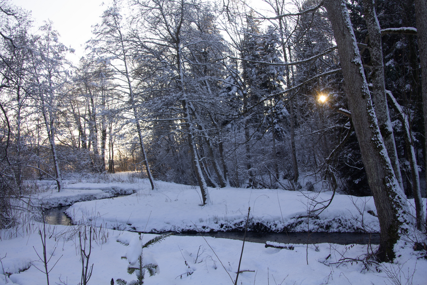 Am stillen Bach