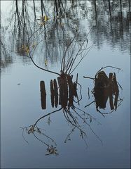 Am stillen Weiher