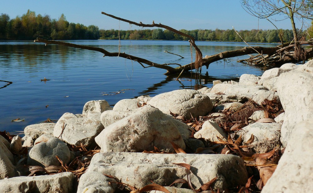 Am Stockemer See in Niederkassel