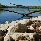 Am Stockemer See in Niederkassel