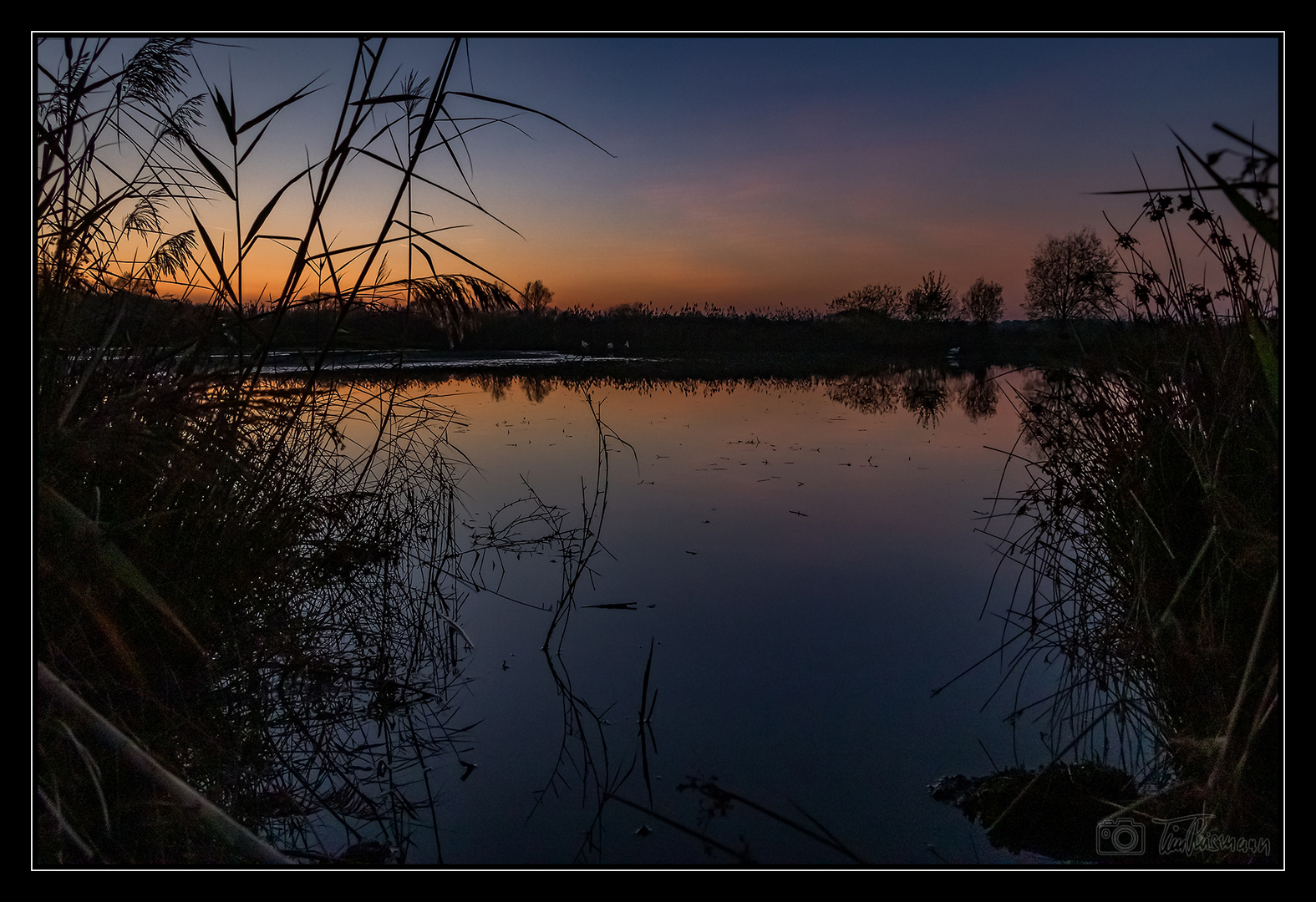 Am Storchenteich