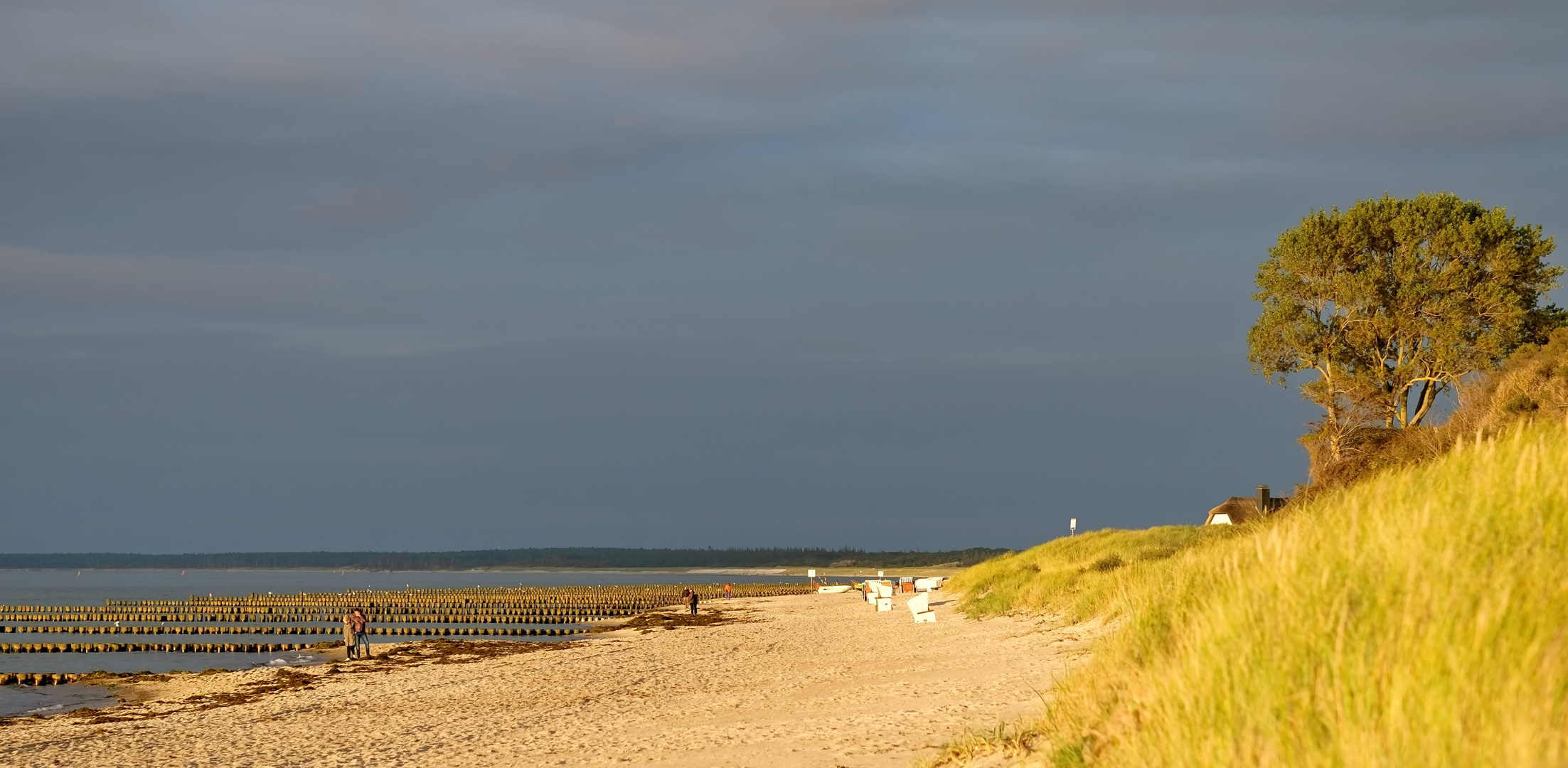 Am Strand